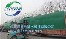 今日三乡新闻爆料热线电话,揭秘今日热点事件