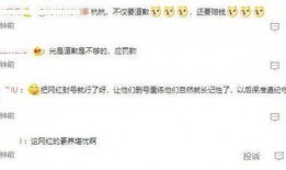 童锦程被爆料卫生间视频,真相与争议